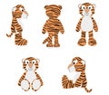 Set of tiger cartoons in different positions