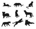 Set of tiger flat isolated silhouettes vector Royalty Free Stock Photo