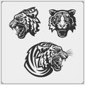 Chili pepper set. Pepper icons, emblems and design elements.Set of tiger heads. Royalty Free Stock Photo