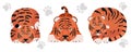 Set of Tigers. Stylized cute animals of different poses. Funny cartoon character