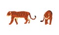 Set of Tigers in Various Poses, Powerful Predator Animals Cartoon Vector Illustration