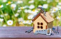 Miniature House Model and Tiny Hand Tools Outdoors Royalty Free Stock Photo