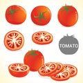 Set of tomato in various styles format