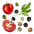 Set of tomatoes and spices watercolor illustration isolated on white background.