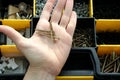 Set of tools in a plastic box, screws in hand. Royalty Free Stock Photo