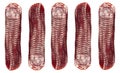 Set top view of smoked pork salami chorizo sausages slices isolated on white background with clipping path. Raw smoked salami Royalty Free Stock Photo