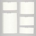 Set of torn notebook papers with lines and grid on gray background