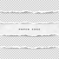 Set of torn paper stripes. Paper texture with damaged edge isolated on transparent background. Vector illustration