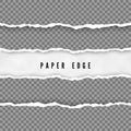 Set of torn paper stripes. Paper texture with damaged edge. Vector illustration isolated on transparent background Royalty Free Stock Photo