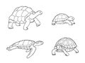 Tortoise and turtle in outlines - vector illustration Royalty Free Stock Photo