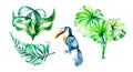 Set of toucan with palm leaves watercolor illustration on white Royalty Free Stock Photo