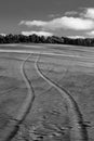 Tire tracks on sand, winding off into the distance. Black and white