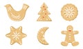 Set of traditional sweet baked christmas cookie. Gingerbread