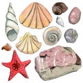 Set of travel hand drawn watercolor elements with sea shells, starfish, stones.