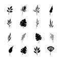 Set of tree branches, eucalyptus, palm leaves, herbs and flowers silhouettes Royalty Free Stock Photo