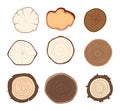 Set of tree rings, wood cross-section with different textures. Detailed tree rings for ecology concept. Nature and