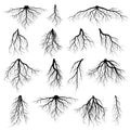 Set of tree roots Royalty Free Stock Photo