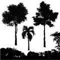 Set of tree silhouette vector