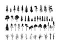 Set of tree silhouettes of different types and shapes isolated on white background.