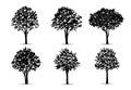 Set of tree silhouettes isolated on white background for landscape design and architectural compositions with backgrounds. Vector Royalty Free Stock Photo