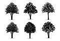 Set of tree silhouettes isolated on white background for landscape design and architectural compositions with backgrounds. Vector Royalty Free Stock Photo