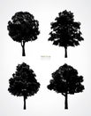 Set of tree silhouettes isolated on white background for landscape design and architectural decoration. Vector Royalty Free Stock Photo