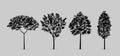 Set of tree silhouettes isolated on white background for landscape design. Royalty Free Stock Photo