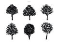 Set of tree silhouettes isolated on white background. Royalty Free Stock Photo