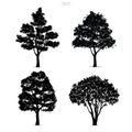 Set of tree silhouettes isolated on white background. Royalty Free Stock Photo