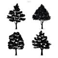 Set of tree silhouettes isolated on white background. Royalty Free Stock Photo