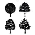 Set of tree silhouettes isolated on white background. Royalty Free Stock Photo