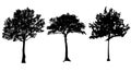 Set of tree silhouettes isolated on white background vector design Royalty Free Stock Photo