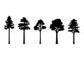 Set of tree silhouettes with leaves transparent vector illustrations Royalty Free Stock Photo