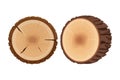 Set of tree stumps, cross section of tree, textured, detailed isolated on white background in flat cartoon style. Cut Royalty Free Stock Photo