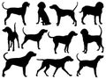 Set of Treeing Walker Coonhound Dog Silhouette vector art Royalty Free Stock Photo