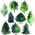 Set of trees drawing by watercolor