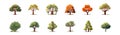 Set of trees, flat cartoon isolated on white background. Vector illustration Royalty Free Stock Photo
