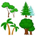 Set of trees, four species on a white.