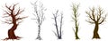 Set of trees without leaves silhouettes isolated on white Royalty Free Stock Photo