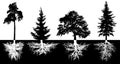 Set of trees with roots, vector silhouette.