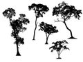 Set of trees silhouettes Royalty Free Stock Photo