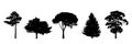 Set of trees silhouettes isolated on white background.. Vector illustration Royalty Free Stock Photo