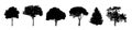 Set of trees silhouettes isolated on white background.. Vector illustration Royalty Free Stock Photo