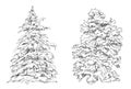 Set of Trees. Sketch collection