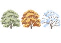set of trees in three seasons. Design elements for poster or drawings or collages for architects and landscape designers. Royalty Free Stock Photo