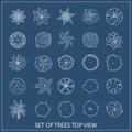Set of trees. Top view