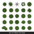 Set of trees. Top view