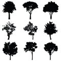 Set of trees vector silhouette