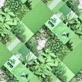 Set of trendy aesthetic photo collages. Minimalistic images of one top color.  Bio Green eco moodboard Royalty Free Stock Photo