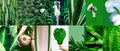 Set of trendy aesthetic photo collages. Minimalistic images of one top color. Green eco moodboard